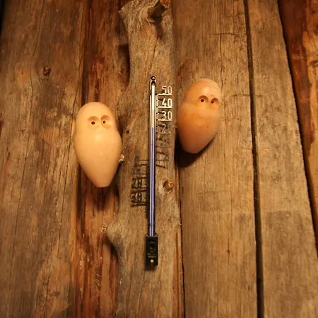 Log House Siesta Domek alpejski